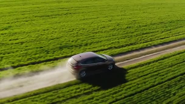 Vista aérea de un coche conduciendo a lo largo de un polvoriento camino de tierra — Vídeos de Stock