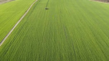 Tarımsal traktörün tarlaya püskürtücü püskürttüğü hava görüntüsü