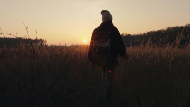 Meisje loopt bij zonsondergang in een weide met hoog gras — Stockvideo