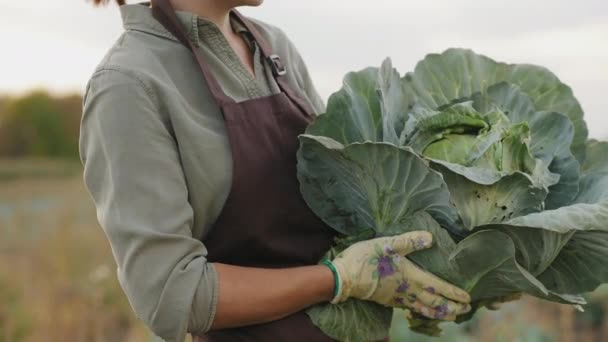 Mulher agricultor segurando uma cabeça de repolho, close-up — Vídeo de Stock