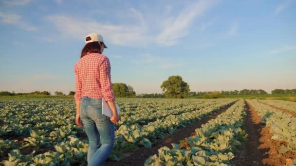 Kvinnlig bonde som går genom ett kålfält — Stockvideo