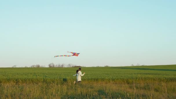 Meisje loopt met een vlieger in het veld — Stockvideo