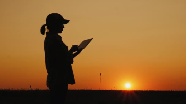 Silhouet van een boer die met een tablet in een veld werkt bij zonsondergang — Stockvideo