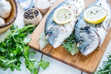 Taze balık çipura dorada