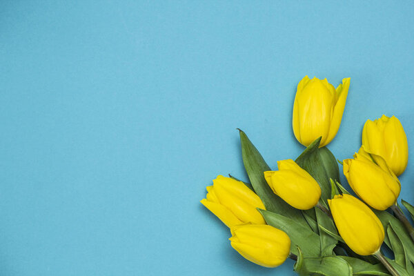 A bouquet of yellow tulips on a blue background.