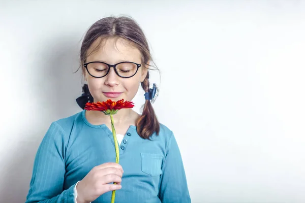 Malá Dívka Brýlemi Drží Červený Květ Ruce — Stock fotografie