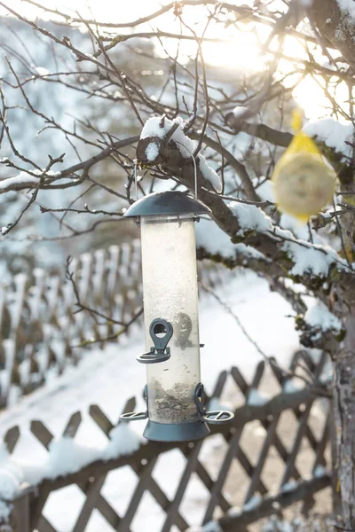 Alimentador Aves Invierno —  Fotos de Stock