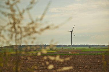 Tarlaların arasında duran rüzgar türbini
