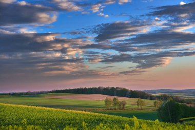 Mısır gevreği ve kolza tohumu tarlalarıyla kırsal alan
