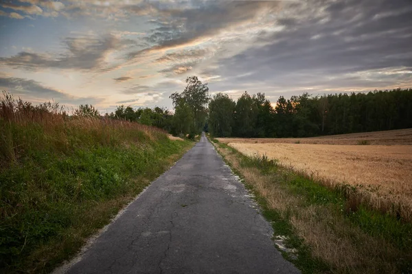 Weg Zwischen Feldern Den Wald — Stockfoto