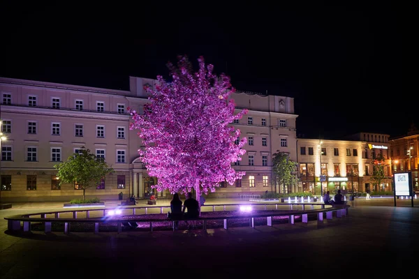 Árvore Iluminada Praça Litewski Lublin — Fotografia de Stock