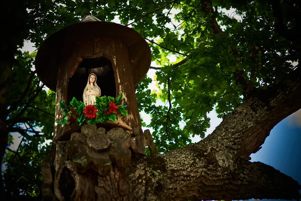 Chapelle Bois Dans Vieil Arbre — Photo