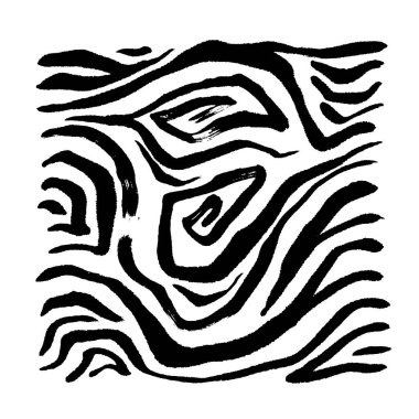 Zebra Baskı / çizilmiş desen el resimleri - vektör