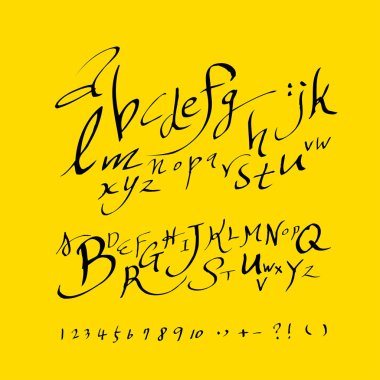 vektör yazı tipleri / el yazısı kaligrafi 