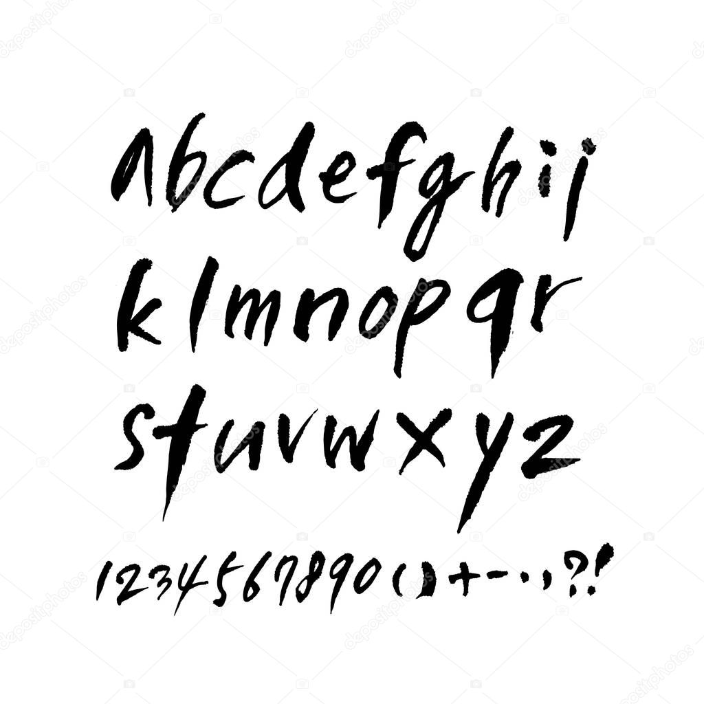 Vector fonts / Handwritten calligraphy 