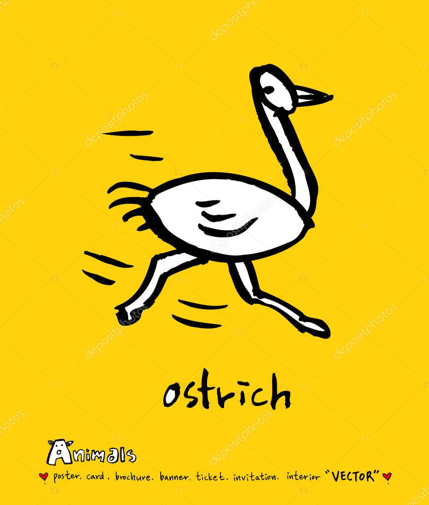 Animal sketch / Hand drawn Zoo illustration - vector