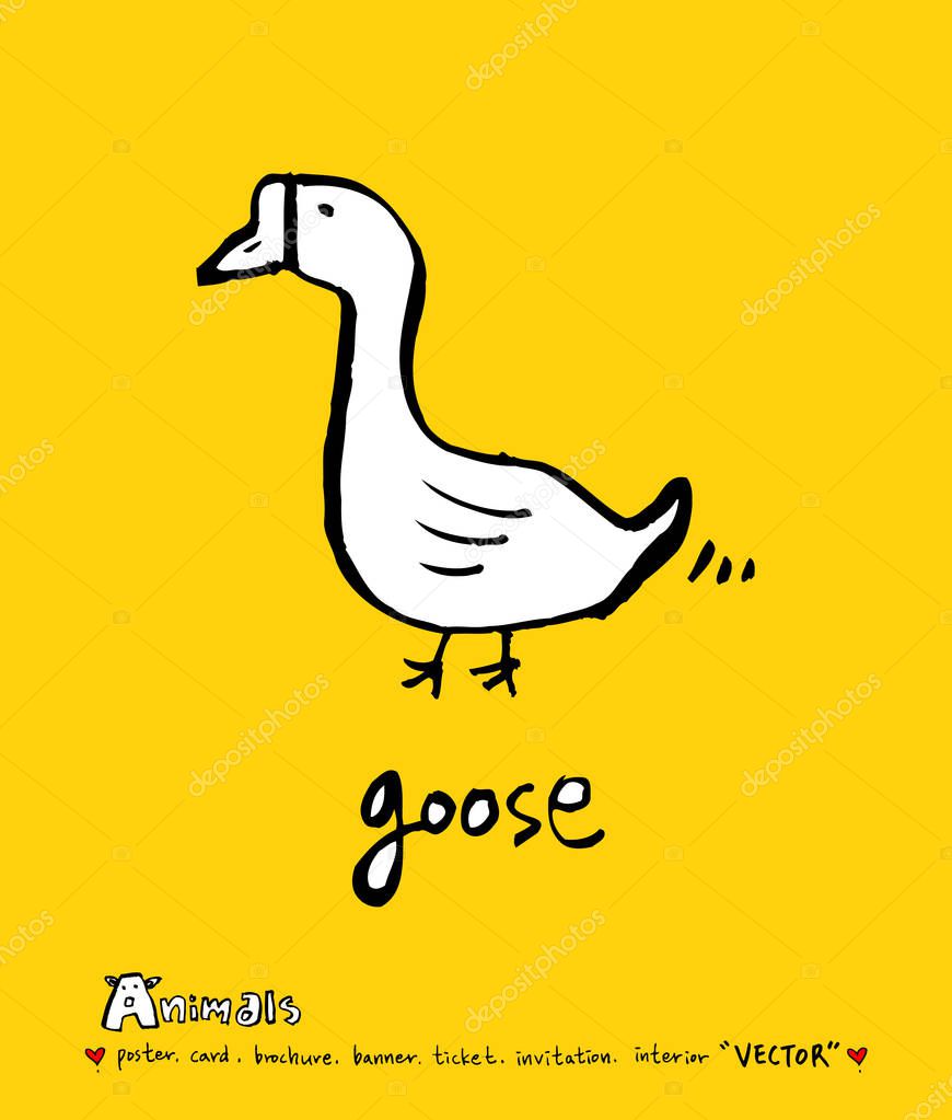 Animal sketch / Hand drawn Zoo illustration - vector