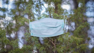 Ormandaki ağaçlarda asılı bir virüs koruma maskesi var. Çevre kirliliği sorunları. Doğayı kurtar.