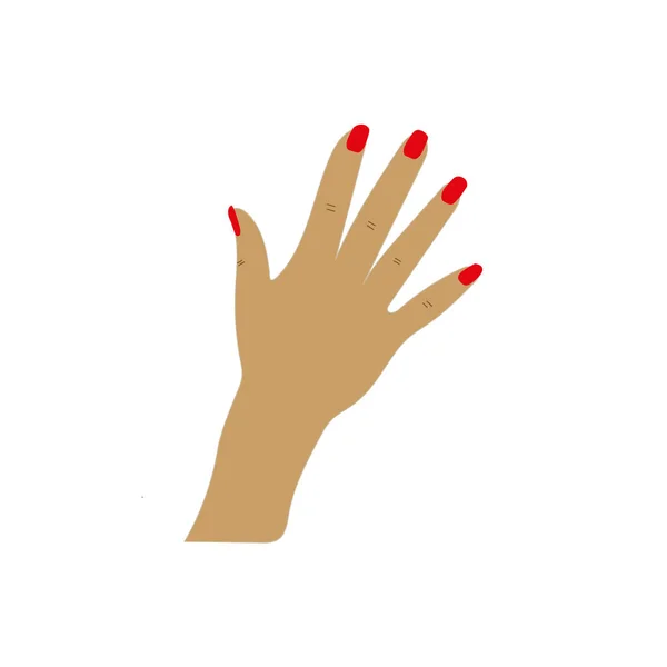 Mulher mão e manicure vermelho verniz branco fundo . — Vetor de Stock