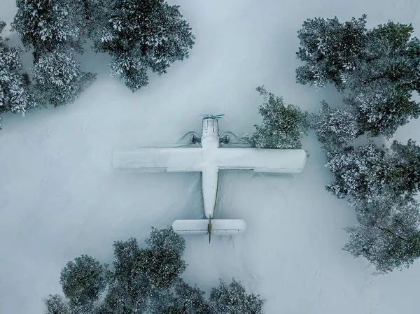 Abandoned broken plane in the forest in winter under snow