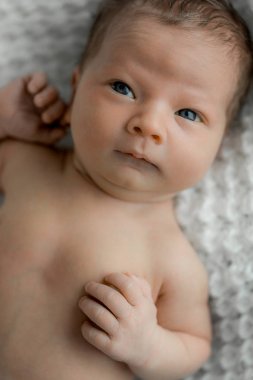 Yeni doğmuş bir bebek üzerinde beyaz ekose portresi.