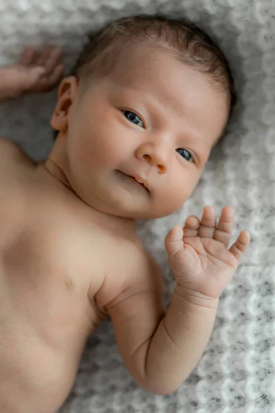 白い格子縞の新生児の肖像画 ストック画像