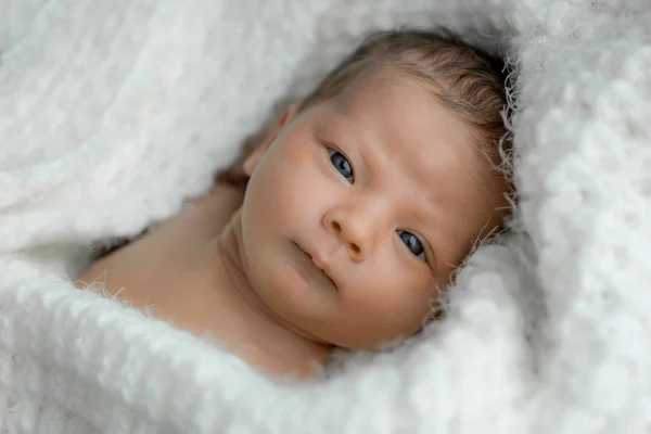 白い格子縞の新生児の肖像画 ストック画像