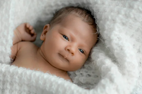 白い格子縞の新生児の肖像画 ストックフォト