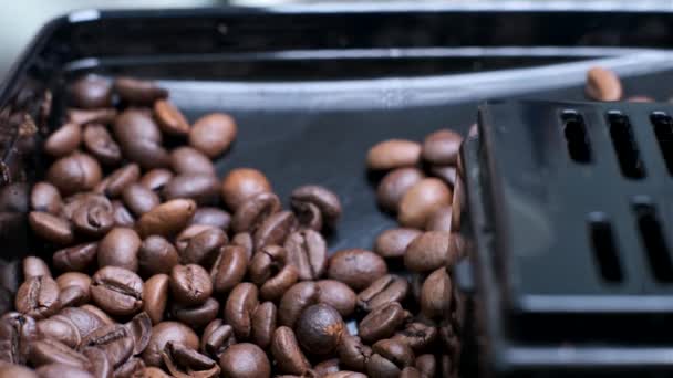Kaffeebohnen Werden Die Kaffeemaschine Gefüllt Nahaufnahme — Stockvideo