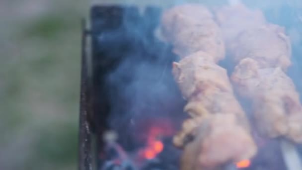 Bife Grelhado Carne Grelhada Churrasco Comida Rua Fumo Carvão Vegetal — Vídeo de Stock