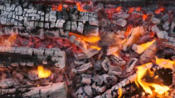 Fundo Textura Fogo Ardente Fumaça Madeira Cinzas Carvão — Vídeo de Stock