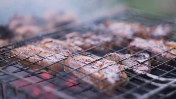 Friptură Grătar Carne Gratar Grătar Mâncare Stradală Fumul Căldura Cărbunelui — Videoclip de stoc