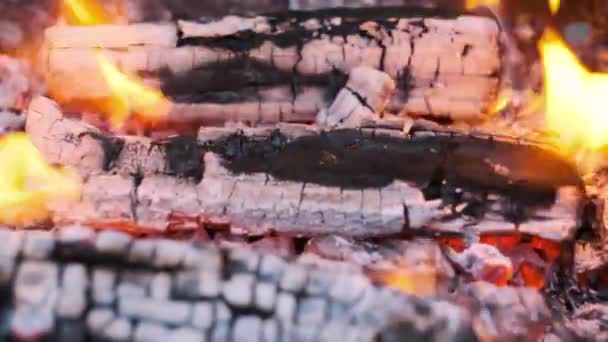 Fondo Textura Del Fuego Ardiente Humo Madera Ceniza Carbón — Vídeo de stock