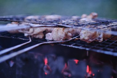 Kızarmış salamura mantar. Duman ve kömür ısısı. Akşam vakti.