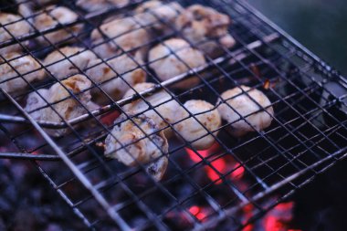 Kızarmış salamura mantar. Duman ve kömür ısısı. Akşam vakti.