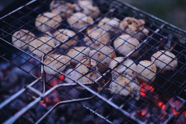 Grillowane Marynowane Grzyby Ciepło Dymne Węglowe Czas Wieczorny — Zdjęcie stockowe