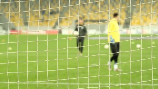 Pelatihan Tim Sepak Bola Profesional Sebuah Stadion Besar Efek Defocus — Stok Video