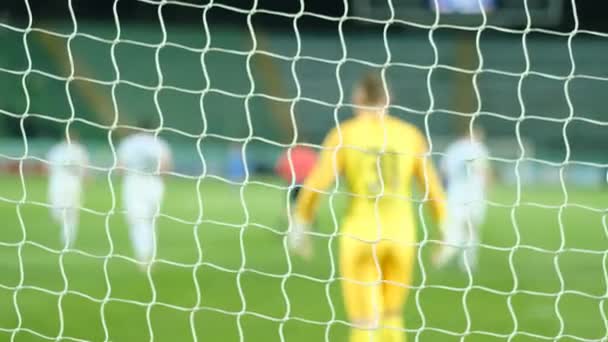 Profifußballspiel Großen Stadion Defokus Effekt Fußball Fußball — Stockvideo