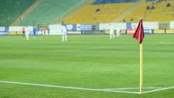 Jogo Futebol Profissional Grande Estádio Efeito Defocus Futebol Futebol — Vídeo de Stock