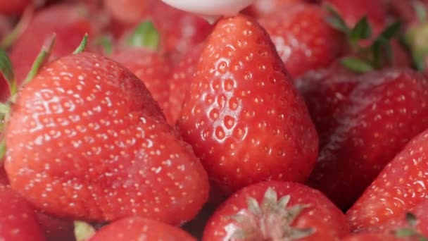 新鲜草莓上撒满了奶油 酸奶滴在草莓上 有机成熟草莓 靠近点 — 图库视频影像
