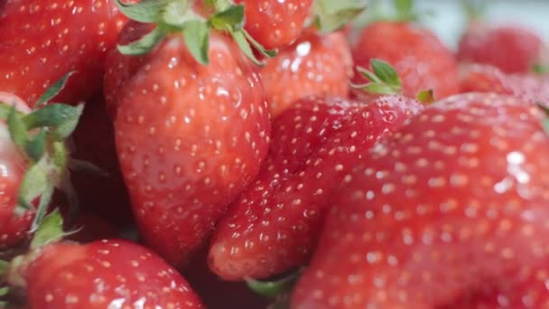 Fraises Fraîches Mûres Fermer Fraise Mûre Biologique Concept Hygiène Alimentation — Video