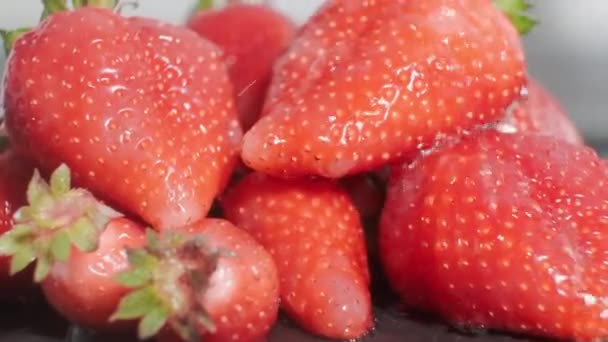 Les Fraises Fraîches Sont Lavées Sous Eau Courante Fraise Mûre — Video