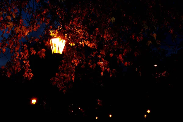 European street lanterns at night in Germany in fall