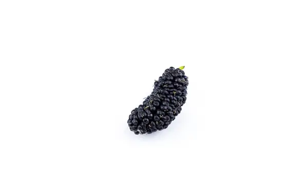 Mulberries Pretas Maduras Fundo Branco — Fotografia de Stock