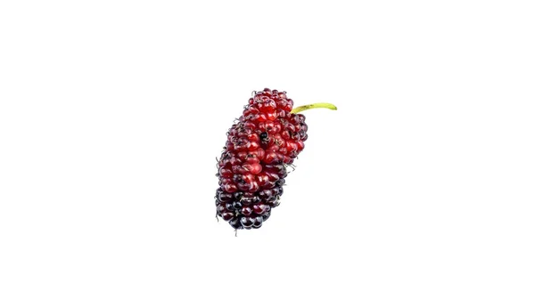Sweet Red Mulberry White Background — Stock Photo, Image