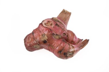 Beyaz arka plan üzerinde izole Galanga kök