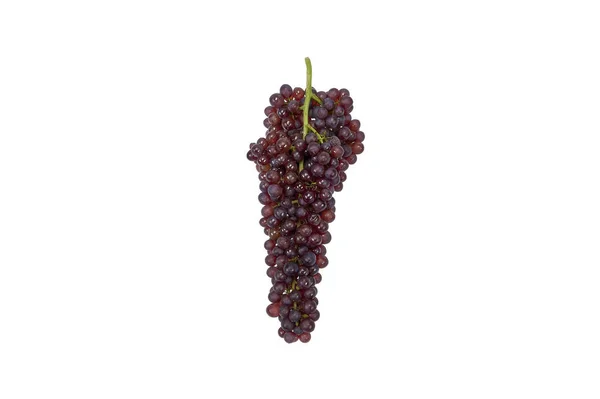 Zoete Grape Geïsoleerd Witte Achtergrond — Stockfoto