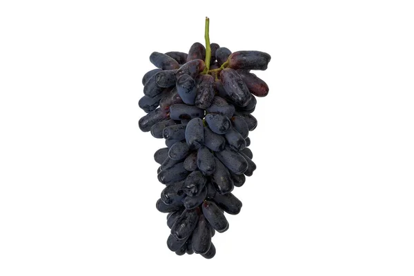 Doce Deliciosas Uvas Safira Orgânica Quase Preto Cor Centrada Isolada — Fotografia de Stock