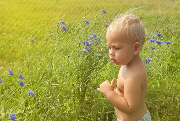 Hermoso niño feliz de pie en un prado verde con flores azules dientes de león en la naturaleza en el parque . —  Fotos de Stock