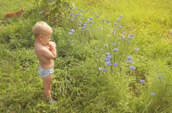 Hermoso niño feliz de pie en un prado verde con flores azules dientes de león en la naturaleza en el parque . —  Fotos de Stock